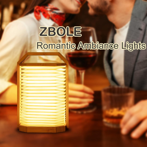 2025 Ý Tưởng Mới Sáng Tạo Sang Trọng LED Có Thể Sạc Lại Cầm Tay Đèn Đêm Trang Trí Nội Thất Cạnh Giường Ngủ Món Quà Giáng Sinh Bảng Cắm Trại Đèn - Product Image 6