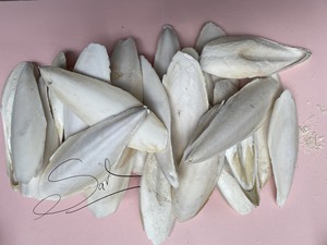 Os de seiche coupé en gros, os de seiche bon marché en vrac - Product Image 6