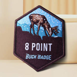 Étiquettes brodées personnalisées en polyester thermocollant, motifs mignons, pour vêtements, avec bord plié, badges brodés sur mesure – Vente chaude - Product Image 6