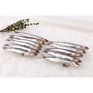 Poisson d'anchois frais de HAUTE QUALITÉ MEILLEUR PRIX SPRATS - Product Image 2