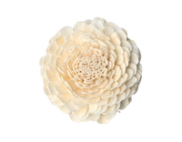 Fleurs Sola Beli Écologiques Éternelles de Haute Qualité Faites à la Main, Décoration Désodorisante Romantique pour Remise de Diplôme et Fête des Pères