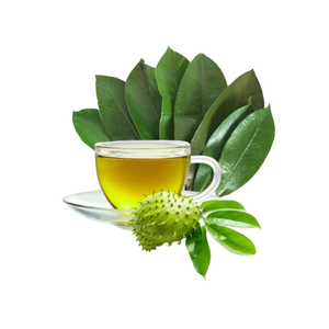 Hojas de Guanábana Secas Naturales de Vietnam al por Mayor para el Procesamiento de Ingredientes de Bebidas - Product Image 1