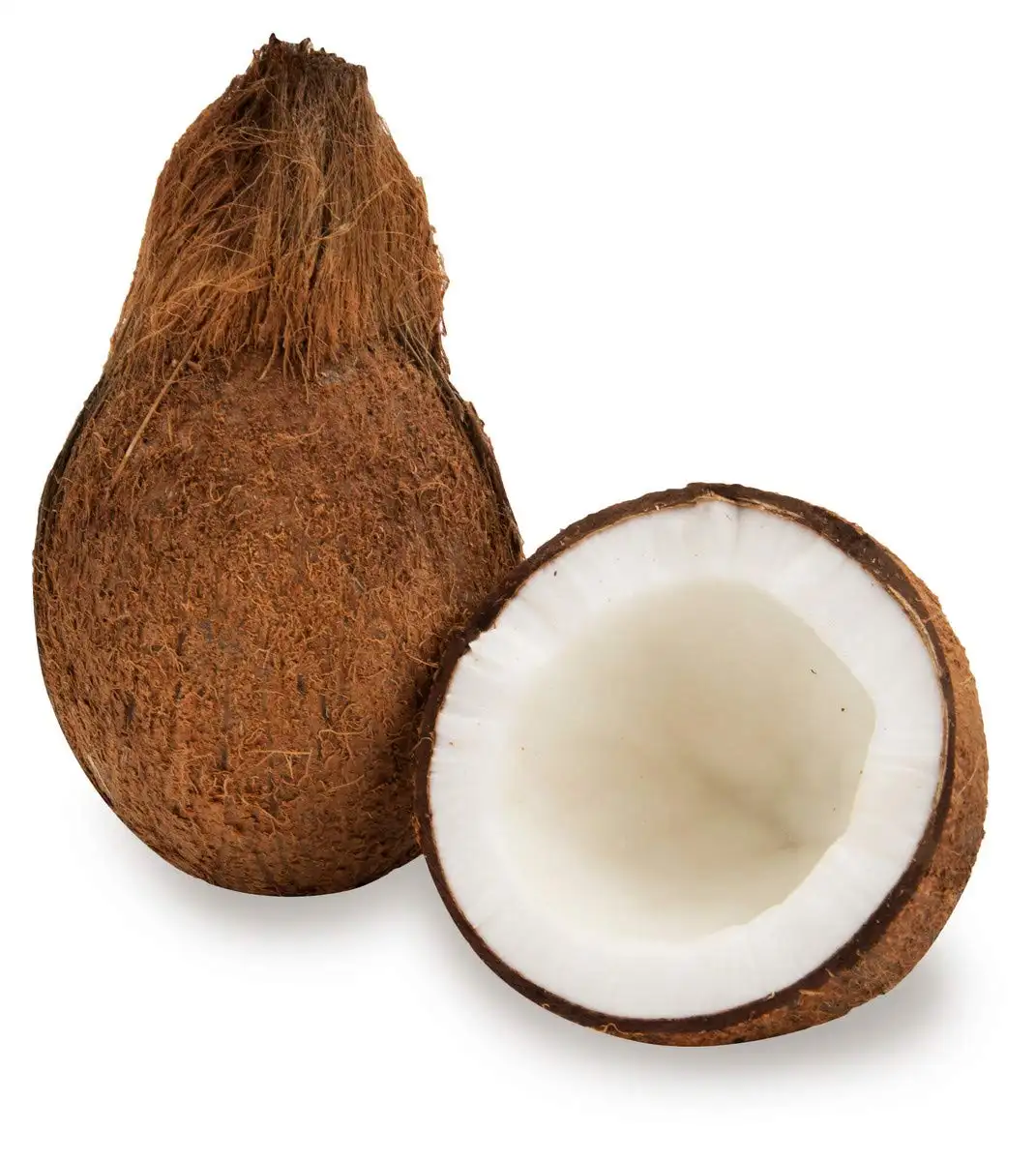 Est Grade-Coco orgánico, disponible para exportación