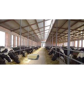 Robot pousseur d'aliments automatique électrique pour vaches, équipement de gestion des exploitations laitières pour élevages - Product Image 4