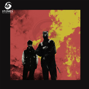 T-shirt col rond 100 % coton pour homme, coupe ample, 300 g, impression graphique personnalisée de votre marque, vente en gros, haute qualité - Product Image 2