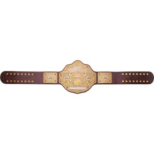 <span class=keywords><strong>Ceinture</strong></span> de champion du monde de la <span class=keywords><strong>WWE</strong></span> Big Gold, <span class=keywords><strong>réplique</strong></span> de la <span class=keywords><strong>ceinture</strong></span> de championnat des poids lourds, plaques métalliques dorées personnalisées, <span class=keywords><strong>ceinture</strong></span> de lutte en cuir marron - Product Image 5