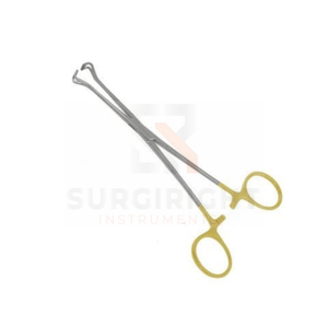 คีมผ่าตัดเนื้อเยื่อ allis ขนาด6 "นิ้ว15ซม. การจับลำไส้แบบแมนนวลโดย5ซี่ทำจากเครื่องมือสำหรับการวัดน้ำหนัก - Product Image 2