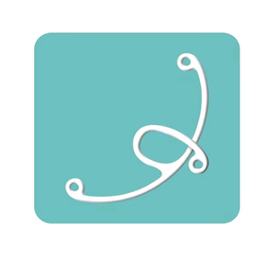 Venta al por mayor de instrumentos ópticos para uso hospitalario, precio competitivo, segmento de soporte de cápsula de anillo parcial (segmento Gupta) - Product Image 3