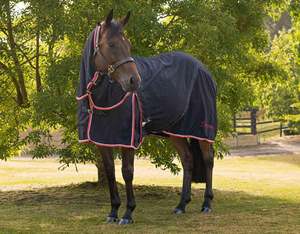 Флисовый коврик 300 г/м2 со съемной шеей и мягким воротником-шерпа для стабильного использования или транспортировки - Product Image 3