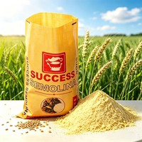Sacs d'emballage personnalisés en PP tissé, résistants à l'humidité, imprimés en héliogravure, pour blé, maïs, semoule, farine, riz, aliments pour animaux, avec poignée longue