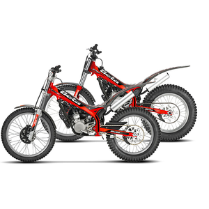 2024 BETA Evo 80 Sr 79.6cc OEM ODM - Product Image 2