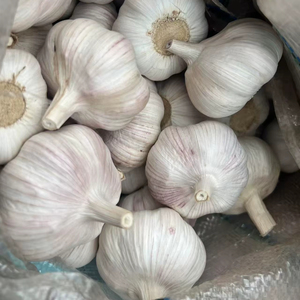 Nuovo raccolto cinese aglio fresco per il commercio all'ingrosso a basso prezzo normale aglio bianco di buona qualità Bawang Putih Ajo Chino Ail - Product Image 4