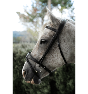 Joya Snaffle Brides Élégantes Options de cuir confortables et élégantes pour l'équitation quotidienne et la compétition avec votre cheval - Product Image 5