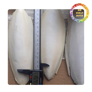 กระดูกปลาหมึกขายส่งสำหรับนกแก้วนกนกกระตั้วและนก | ปลาหมึกแห้ง - Product Image 3