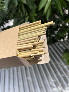 Pailles d'herbe jetables biodégradables écologiques de haute qualité du Vietnam Emballage personnalisé Accessoires de barres à prix compétitif - Product Image 6