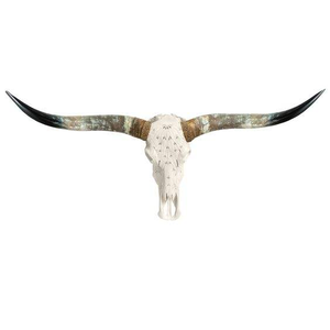 Tête de vache naturelle de vente de luxe unique avec corne pour la décoration de la maison Corne de vache faite à la main de qualité supérieure en gros par tradebit - Product Image 2