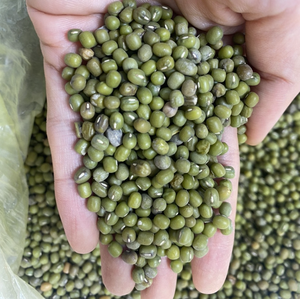 Natural Green Mung <b>Beans</b> for Desserts, Soups, and Cooking, Sourced from Vietnam with High Quality - Product Image 5