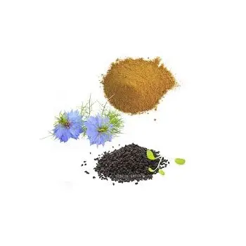 Grosir ekstrak biji Jinten hitam ekstrak biji Nigella Sativa 5% 10% 20% Thymoquinone biji jinten alami kualitas tinggi grosir