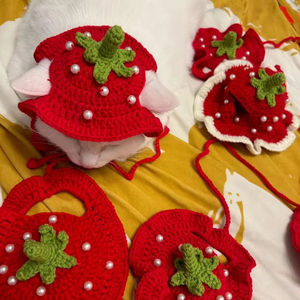 Gorro de Ganchillo Hecho a Mano con Forma de Fresa, Lindo y Divertido para Mascotas, Ropa para Gatos y Cachorros - Product Image 6