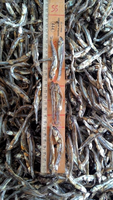 Anchois séchés de qualité supérieure - Petits poissons salés séchés de haute qualité, parfaits pour les collations et la cuisine, disponibles en vrac