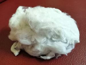 Fibre discontinue de polyester solide blanc de haute qualité 100% recyclable 2.5D51SD filature fabricant vietnamien Vikohasan GRS - Product Image 3