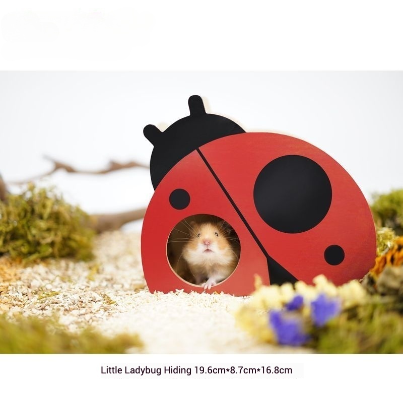 Amarillo/Ladybug Hide-and-Seek