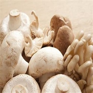 100% Champignon frais surgelé naturel à vendre à des prix modérés - Product Image 4