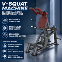 Appareil de musculation pour les jambes BN Plate Loaded, idéal pour les studios de fitness, les salles de sport, les centres de santé, machine à squats V.