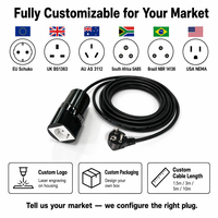 Adaptateur de prise EV personnalisé, cordon d'extension portable sans fil de terre, US AU UK, sans fil de terre, sans mise à la terre, pour chargeur domestique