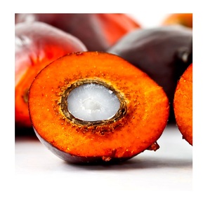 Precio de Venta caliente de frutos de palma secos/Frescos/nueces a granel - Product Image 3
