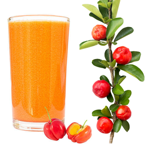 El mejor puré de Acerola de Kim Minh International a granel, mermelada de sabor dulce empaquetada a granel - Product Image 1