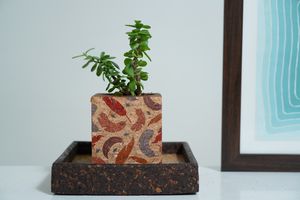 Tendance Design Plume Imprimé Jardinière De Table Pots De Fleurs De Table Jardinières pour La Maison Restauration Décor pour Usage Résidentiel - Product Image 3