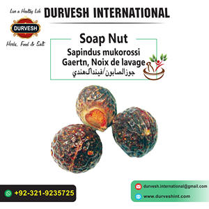 Jabón Natural de Nuez de Reeta |   Semillas de Jabonera Secas, Suministro a Granel de Hierbas, 100% Natural, Sapindus Mukurossi, 25 kg - Product Image 4