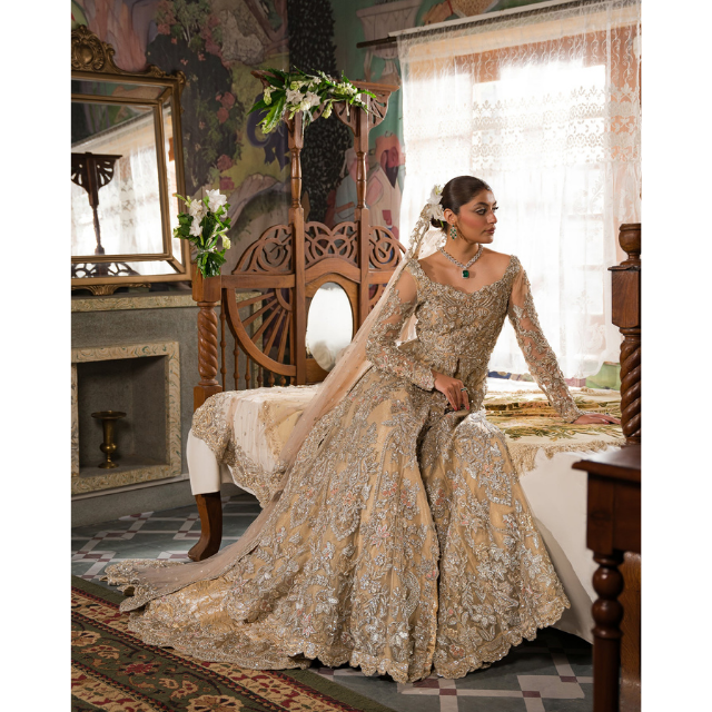Indian Pakistani Bridals Wedding Dresses - Customized Designs