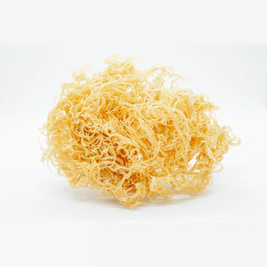 ALGAS DE ALGODÓN SECO/FUENTE NATURAL/CALIDAD ALIMENTARIA - Product Image 2