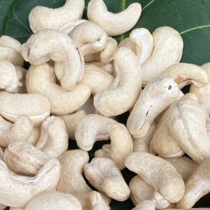 Venta caliente 2025 Anacardos tostados y embalaje Santigo en Vietnam W320 Calidad Premium Reday para enviar - Product Image 1