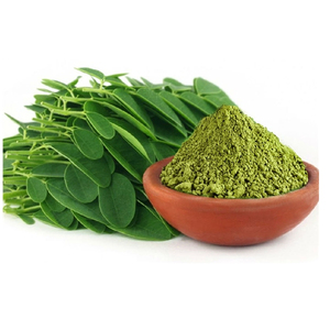 Poudre d'extrait de feuilles de Moringa d'approvisionnement d'usine en extrait de graines d'extrait de plantes bon pour la santé - Product Image 3