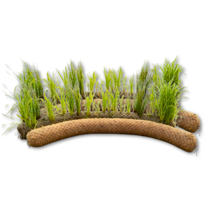 <b>Large</b> Supply COIR LOG / PALM <b>MAT</b> Reliable Coir Logs for Erosion Control and River Dike Construction - Product Image 1