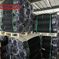Malla de Alambre Galvanizado con Eslabones de 50*50 mm, 60*60 mm, 75*75 mm, Malla de Diamante para Uso Comercial y Residencial