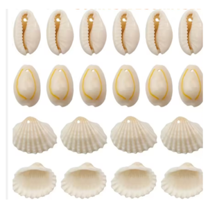 Mini mezcla de conchas marinas reales para decoración del hogar y fabricación de artesanías - Product Image 1