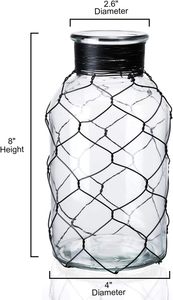 Vase en verre décoratif étoile avec pot de fleur galvanisé en fil de poulet pour la décoration intérieure et la forme de conception de plantation de jardin - Product Image 4