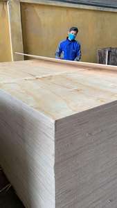 ไม้อัดสนเกรดโครงสร้าง ไม้อัดกันน้ำ - Product Image 3