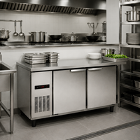 Congelador Comercial de Mostrador de Una Sola Temperatura para Alimentos Congelados con Refrigeración de Bajo Consumo