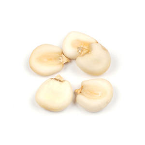 Maíz blanco de alta calidad al por mayor a precios competitivos - Product Image 5