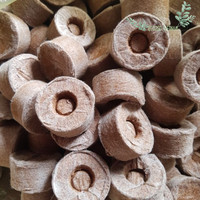Disques de Propagation Biodégradables en Fibre de Coco pour Semis et Culture Commerciale (Vente en Gros)