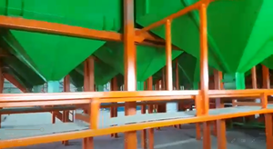 Ligne de décorticage et de concassage des noyaux de noisettes - Product Image 3