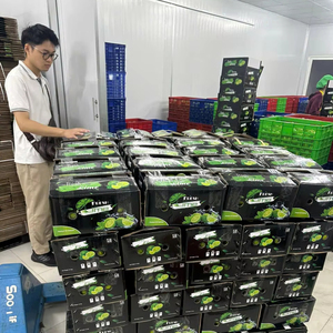 Lima sin semillas de calidad de exportación de Vietnam, cítricos frescos jugosos, larga vida útil para jugo y cocina, ofertas al por mayor a granel - Product Image 1