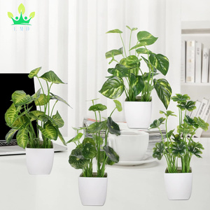 4 pièces petites plantes en pot artificiel Mini ensemble feuilles persistantes feuille <span class=keywords><strong>de</strong></span> Lotus trèfle Luau feuille pour bureau Table maison bureau chambre décor - Product Image 3