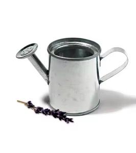 Arrosoir galvanisé en métal durable avec poignée ergonomique pour un entretien facile des plantes disponible au prix de gros - Product Image 4