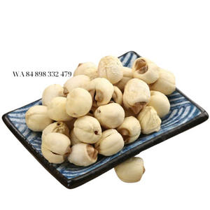 2024 VIETNAM Semillas de loto secas de alta calidad Puro y limpio para beneficios de salud Económico - Product Image 2